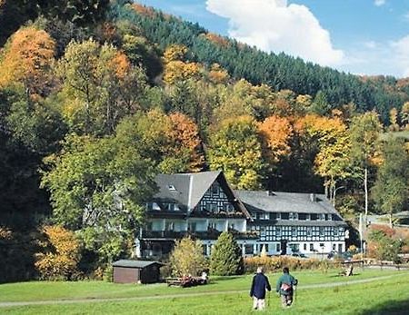 Tommes Gaestehaus Zur Muehle Шмалленберг Экстерьер фото