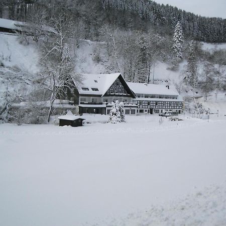 Tommes Gaestehaus Zur Muehle Шмалленберг Экстерьер фото