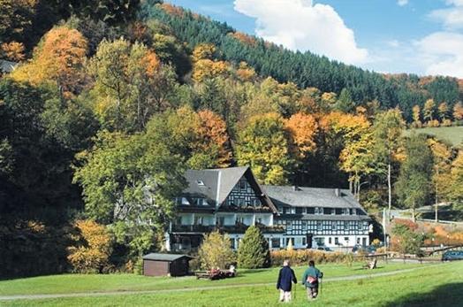 Tommes Gaestehaus Zur Muehle Шмалленберг Экстерьер фото