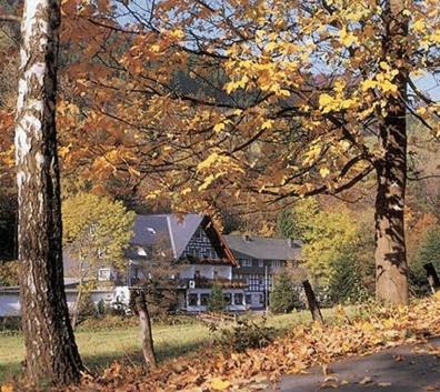 Tommes Gaestehaus Zur Muehle Шмалленберг Экстерьер фото